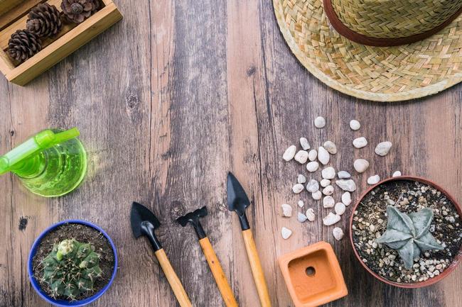 Новый отдел «Все для сада и огорода»