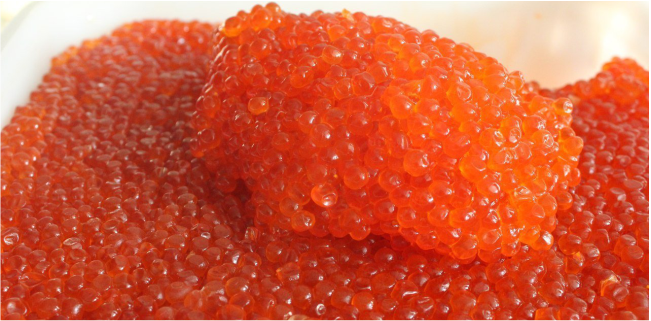 Икра и Рыба Камчатки